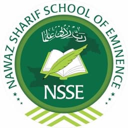 NSSE official logo