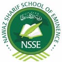 NSSE official logo